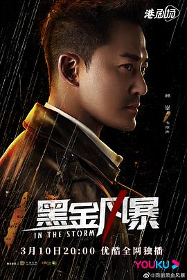 黑金风暴国语第14集