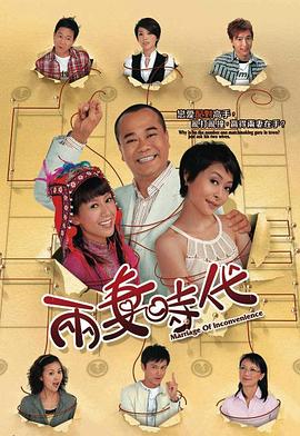 两妻时代国语第04集