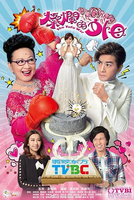 灿烂的外母粤语第12集