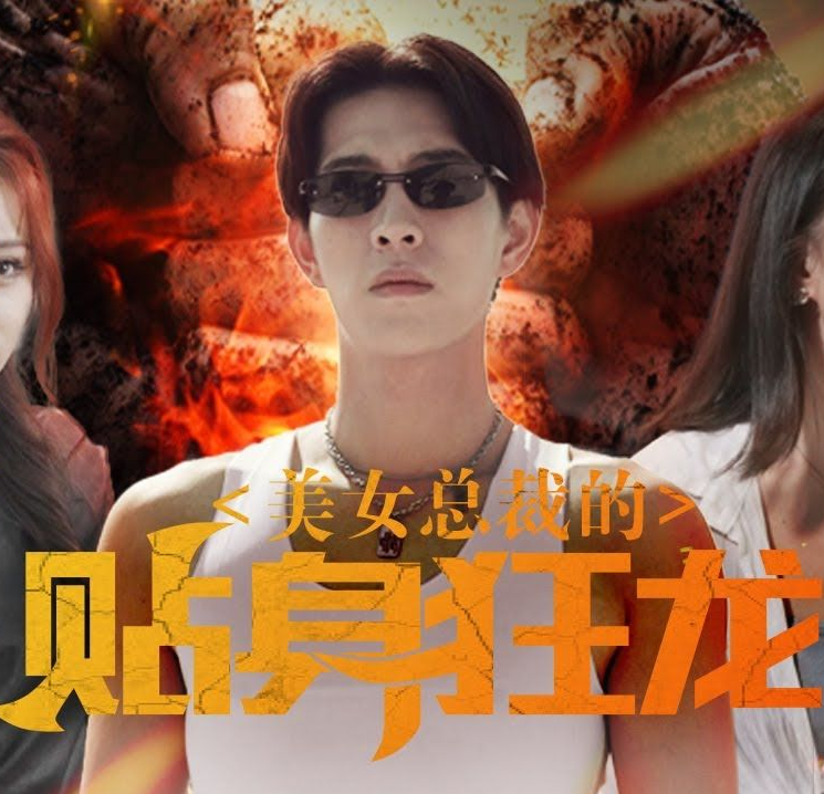 美女总裁的贴身狂龙第03集