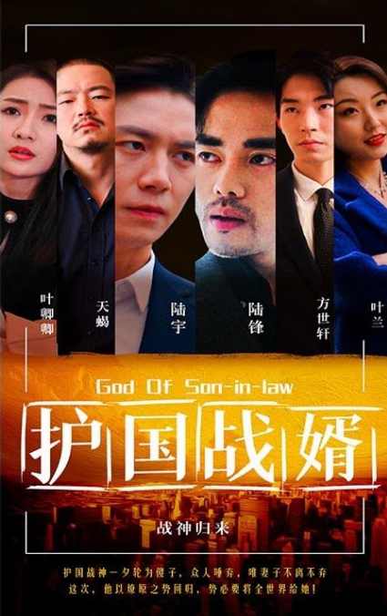 护国战婿第57集