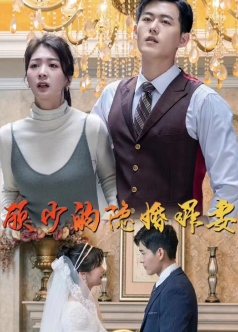 顾少的隐婚罪妻第18集