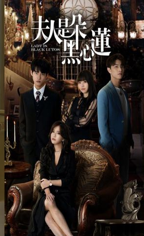 夫人是朵黑心莲第03集