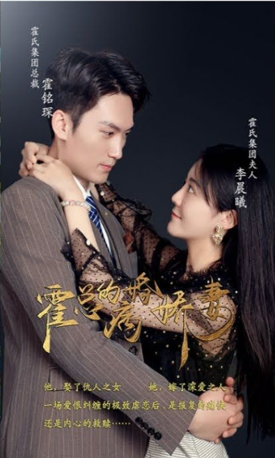 霍总的病婚娇妻第101集