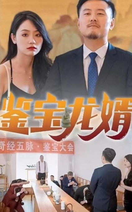 鉴宝龙婿第01集