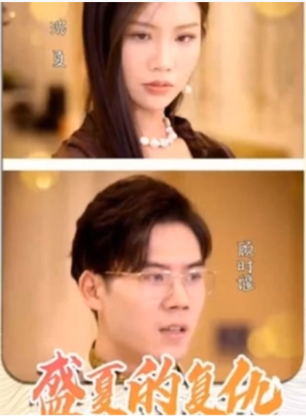 盛夏的复仇第25集