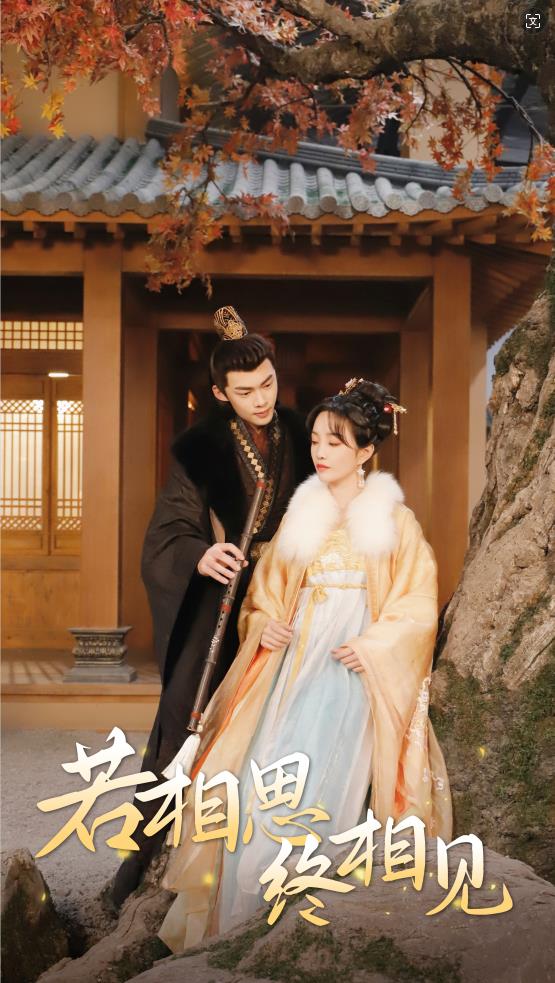 若相思，终相见第40集