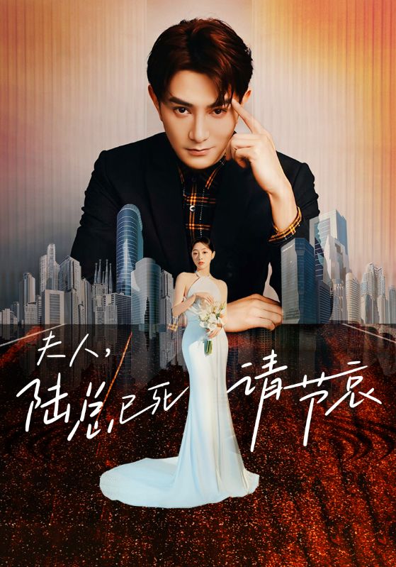 夫人，陆总已死请节哀第04集