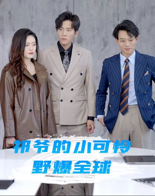 祁爷的小可怜野爆全球第04集