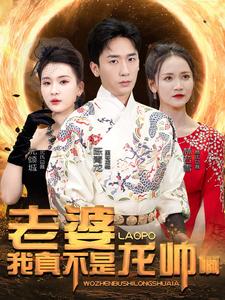 老婆我真不是龙帅啊第30集