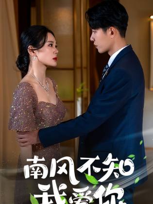 南风不知我爱你第72集