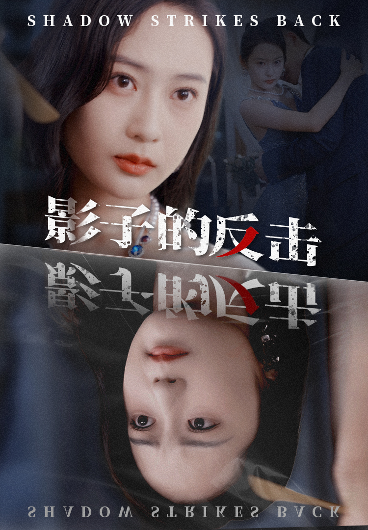 影子的反击第19集