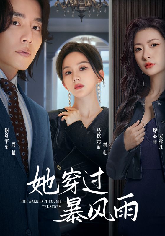 她穿过暴风雨第01集