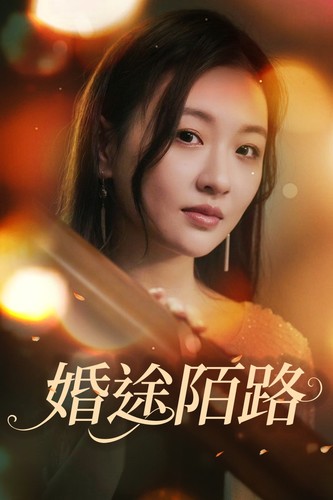 婚途陌路第03集