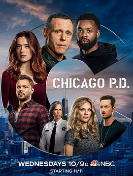 芝加哥警署 第八季第11集