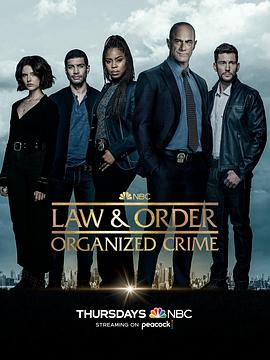 法律与秩序：组织犯罪 第三季第11集