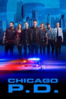 芝加哥警署 第七季第17集