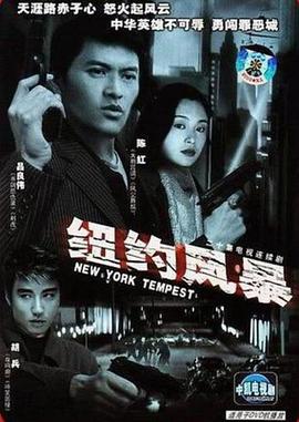 纽约风暴第02集