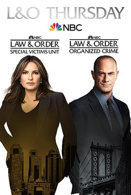 法律与秩序：组织犯罪第二季第19集
