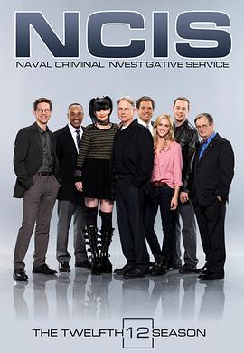 海军罪案调查处第十二季第10集