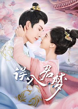 误入君梦第03集