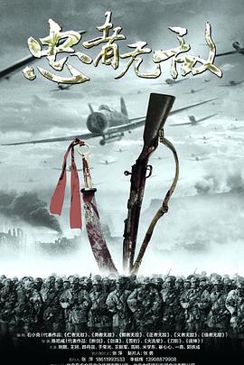 忠者无敌第33集