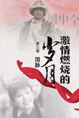 激情燃烧的岁月3第02集