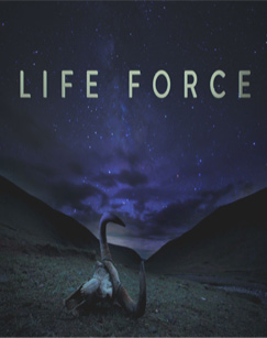 生命的力量第01集