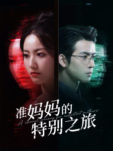 准妈妈的特别之旅全集(大结局)