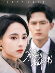 亲爱的楼秘书全集(大结局)