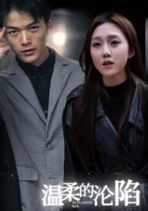 温柔的沦陷全集(大结局)