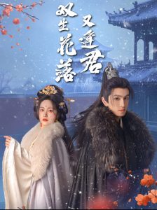 双生花落又逢君全集(大结局)